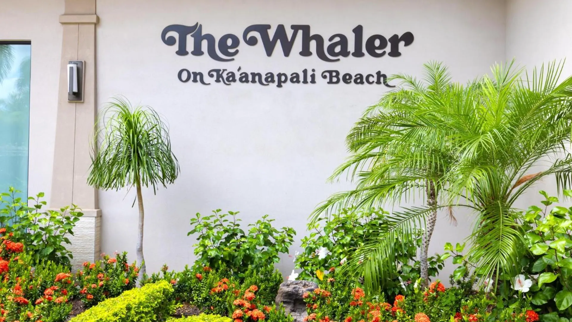 Apartment Kbm Resorts Free Car The Whaler Resort Wh1-211 Renovated Villa W Ac Beachfront Views Kaanapali